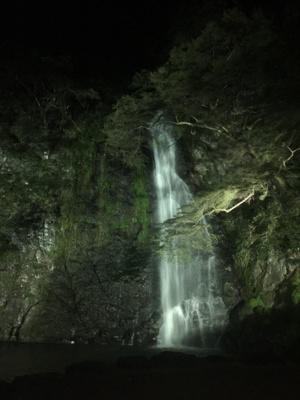 箕面公園～夜間ライトアップ2017～の画像