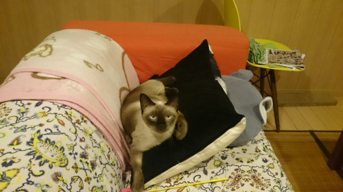 ホームページについての画像