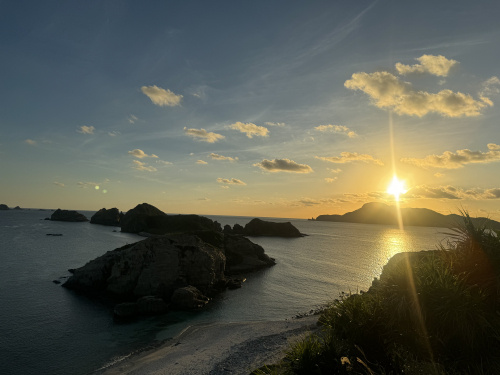 猫 島 日本 観光の魅力はどこにある？猫と島時間を楽しむ国内...の画像