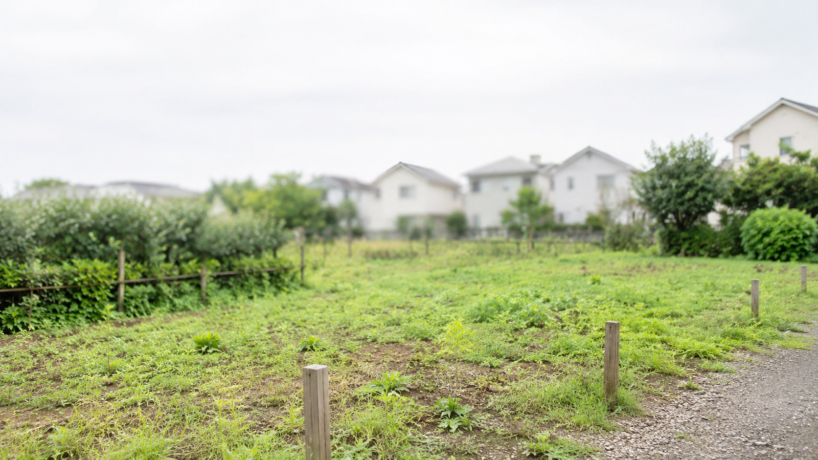 所有者不明土地を買いたいときは？購入手続きや注意点についても...の画像