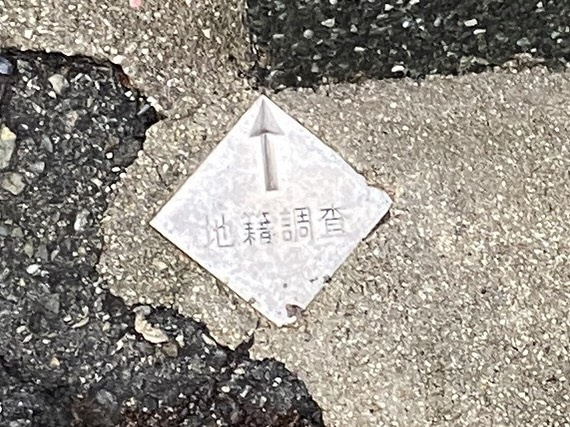 今日も忙しくなりそうです！の画像