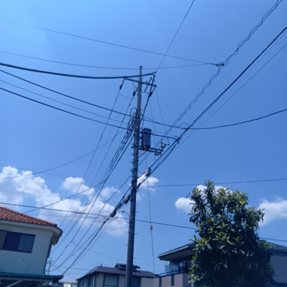 「電柱の鳥　フン被害」の画像