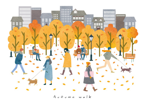 なぜ紅葉は赤や黄色になる？秋の葉っぱのひみつの画像