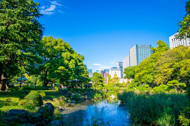 内見前の新常識！不動産情報ライブラリで岡崎市の賃貸リスクを確...の画像