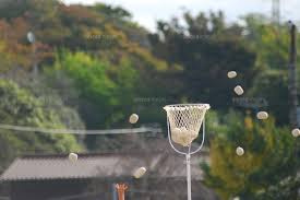**「小学校の運動会を見に行ってきました｜子どもたちの頑張る...の画像