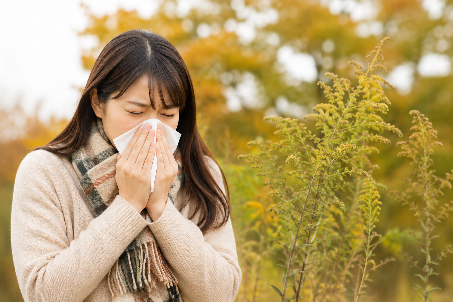 秋の花粉症？くしゃみ・鼻水・目のかゆみに注意！原因と対策を解...の画像