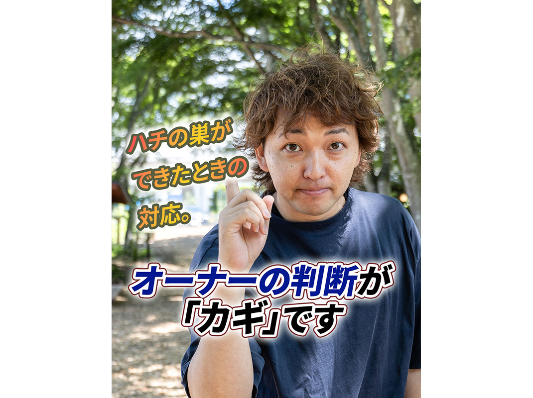 【軽井沢の賃貸経営】ハチの巣ができたときの対応。オーナーの判...の画像