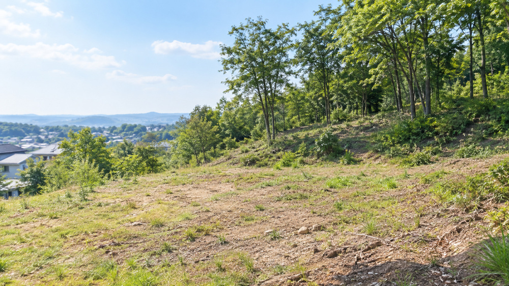 最新記事「地目が山林の土地に家を建てるデメリットは？メリットや費用の注意点も解説」の画像