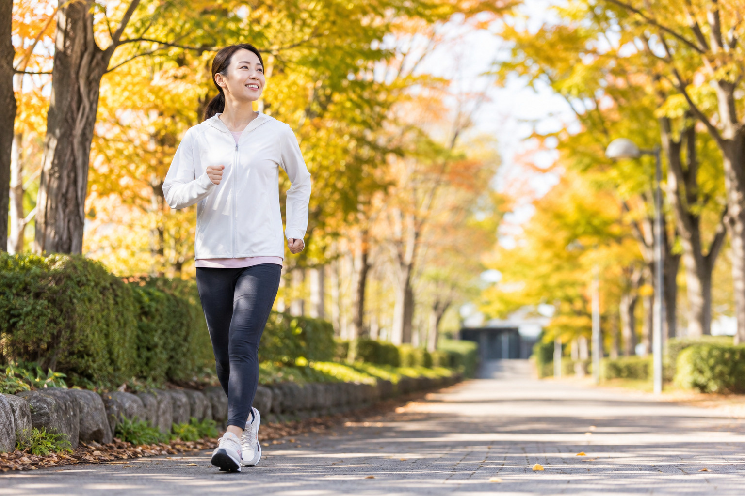 散歩の日に始めよう！ウォーキングの効果と健康づくりに役立つ正...の画像