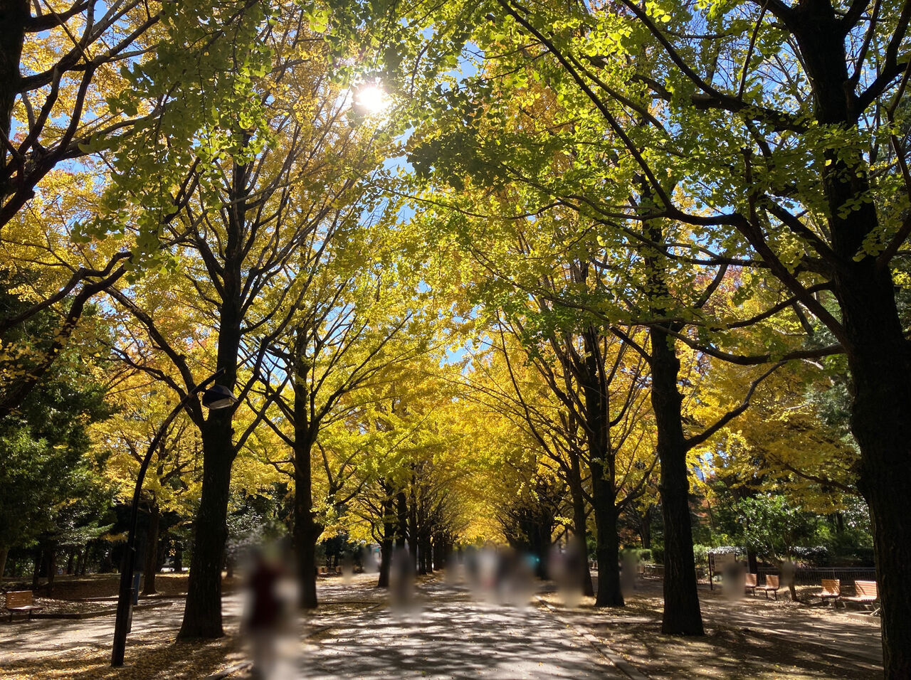 世田谷区の住みやすさと緑豊かな公園の魅力！ファミリー・単身者...の画像