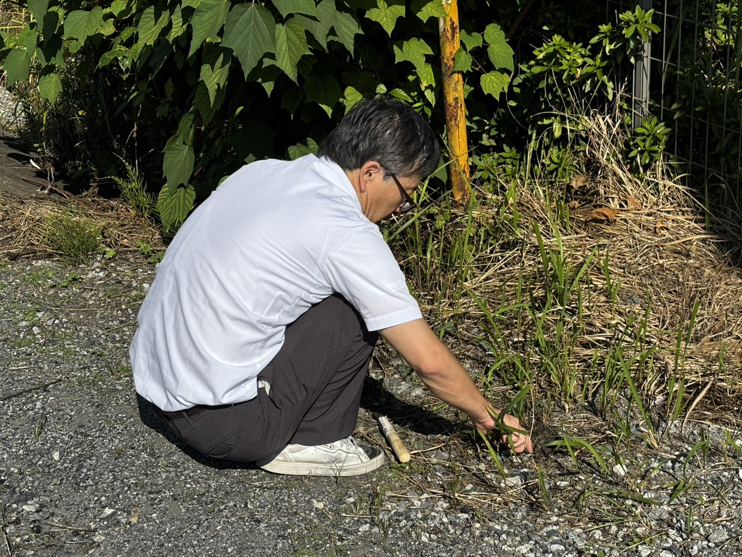 本日もよろしくお願いしますの画像