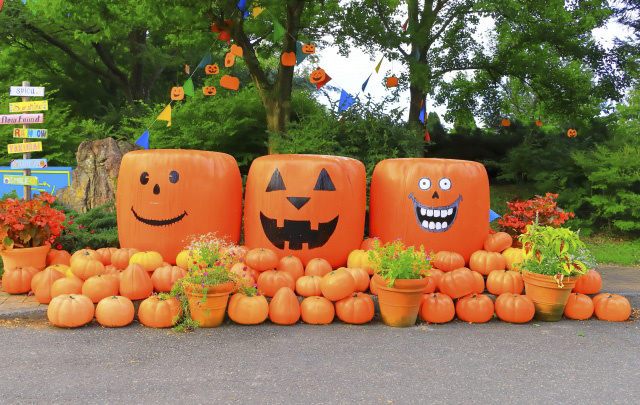 日本のハロウィン――海外の行事が日本で広まった理由と独自の楽...の画像