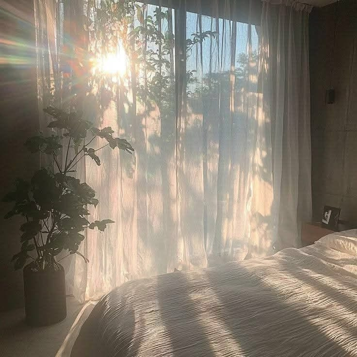 東向きと西向きどちらの部屋がいい！？選び方や特徴を解説の画像