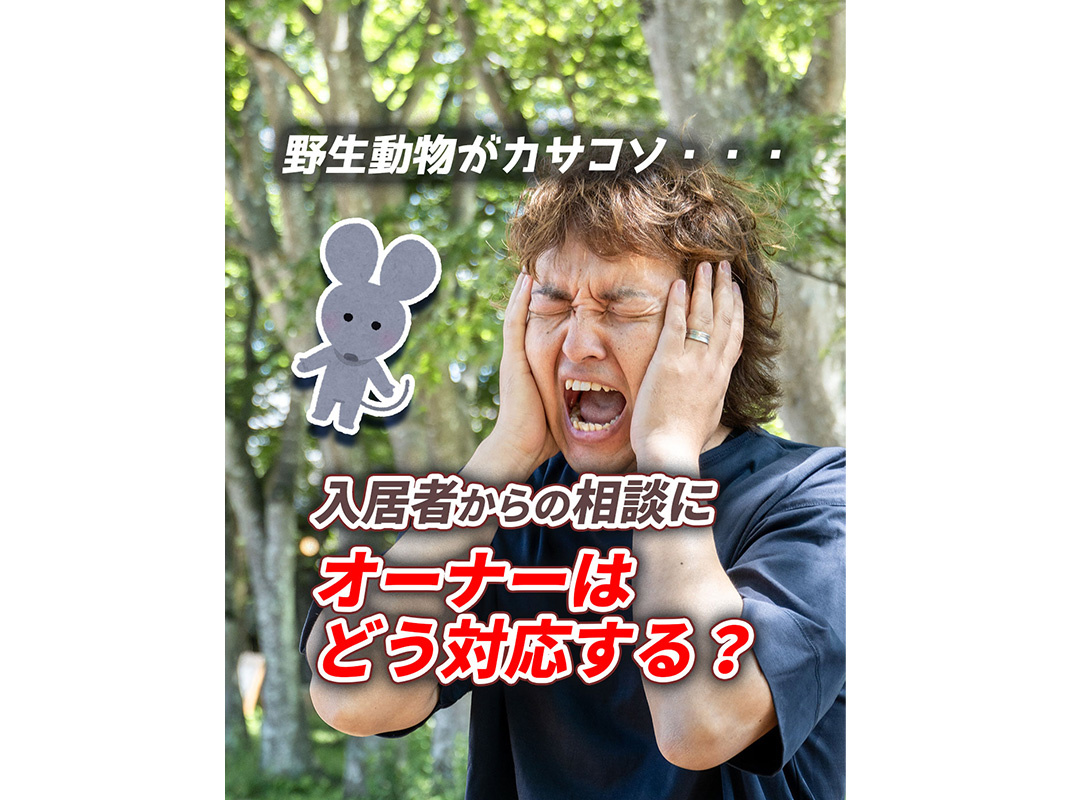 【軽井沢の賃貸経営】野生動物がカサコソ……入居者からの相談に...の画像