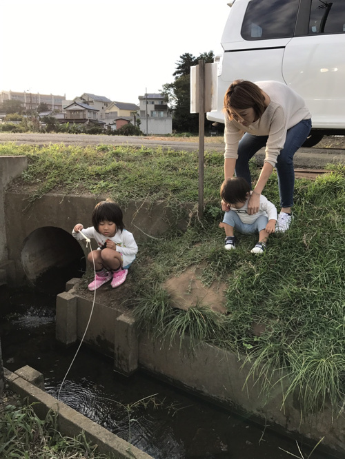 ザリガニ釣りの画像