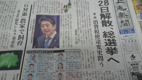 投票に行こう！の画像