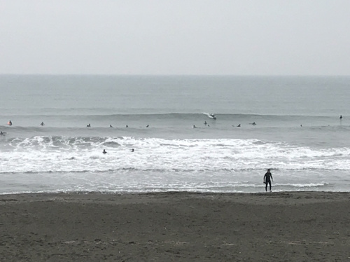 ２週間ぶりの画像