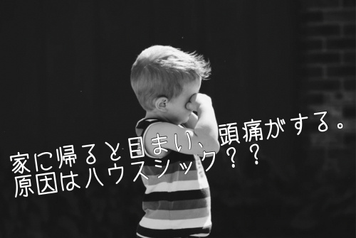 家に帰ると目まい 頭痛がする 原因はシックハウス 仲介手数料無料 名古屋市で新築戸建てを探すならaplace