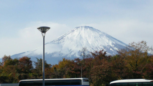 ワン旅デビューで伊豆への画像
