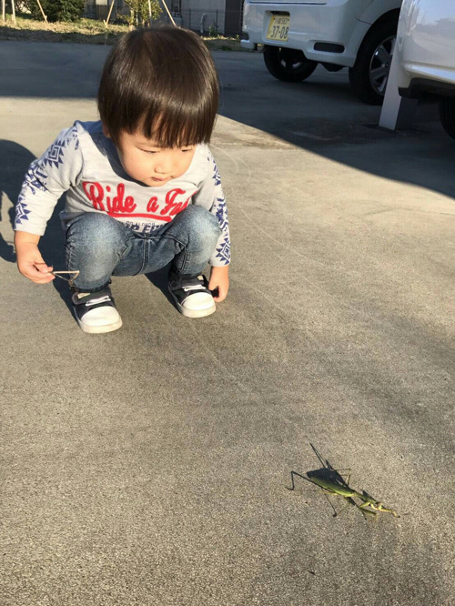 息子とカマキリの画像