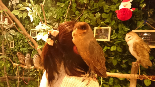 話題のお店への画像