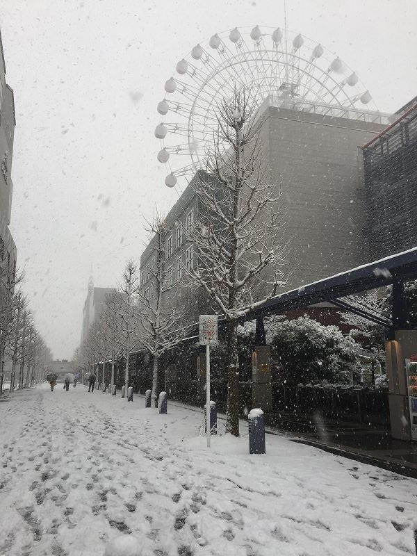 雪！雪！雪！の画像