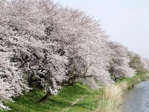 LIXIL不動産ショップ 信栄ホ－ム