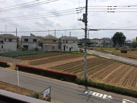 展望