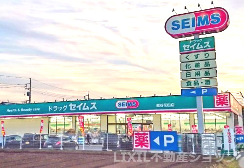 ドラッグセイムス 越谷花田店