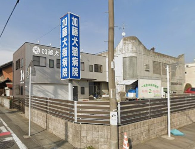 加藤犬猫病院