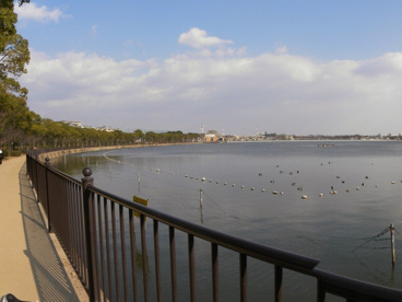 瑞ケ池公園の画像1
