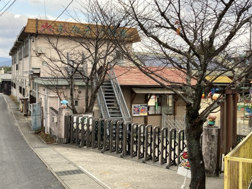 すずめっこ杉の子幼稚園