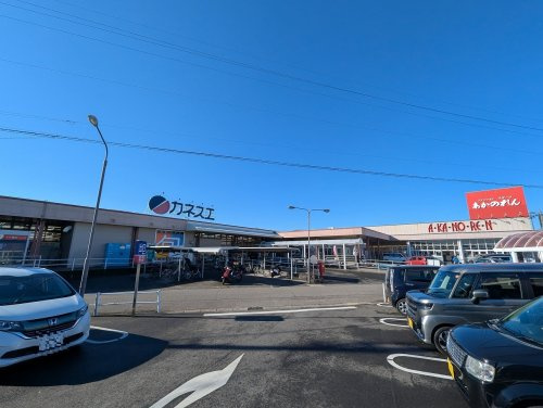 カネスエ五郎丸店