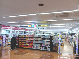 どらっぐぱぱす 関原店