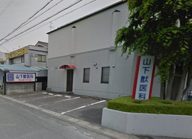 山下獣医科