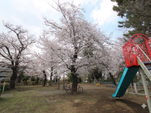 矢の山公園