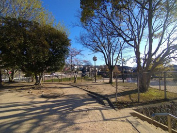 山田公園
