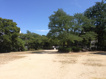 大物公園の画像