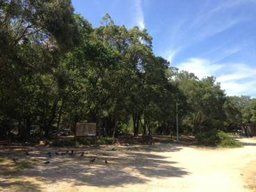 大物公園の画像2