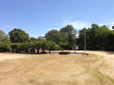 大物公園の画像3
