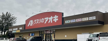 クスリのアオキ岩井店の画像1