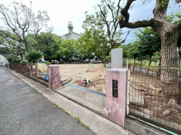 東平田公園の画像2