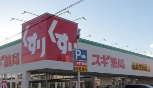 スギ薬局 岡崎欠町店