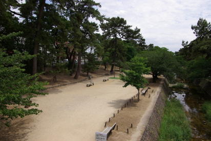 夙川公園の画像1