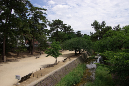 夙川公園の画像2