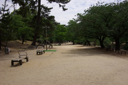 夙川公園の画像3