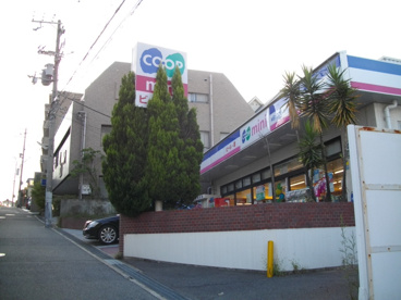 コープミニ大谷の画像5