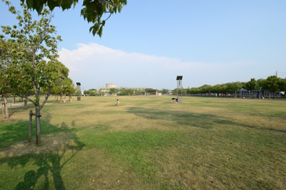 末広中央公園の画像3