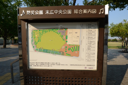 末広中央公園の画像4