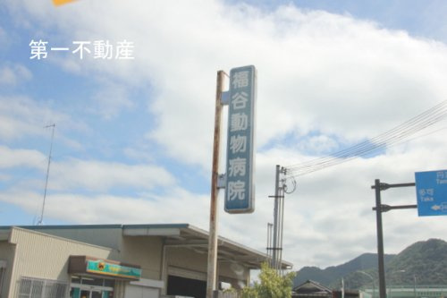 福谷動物病院